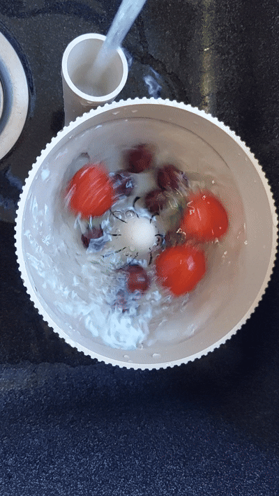3D Printed Berry and Fruit Vortex